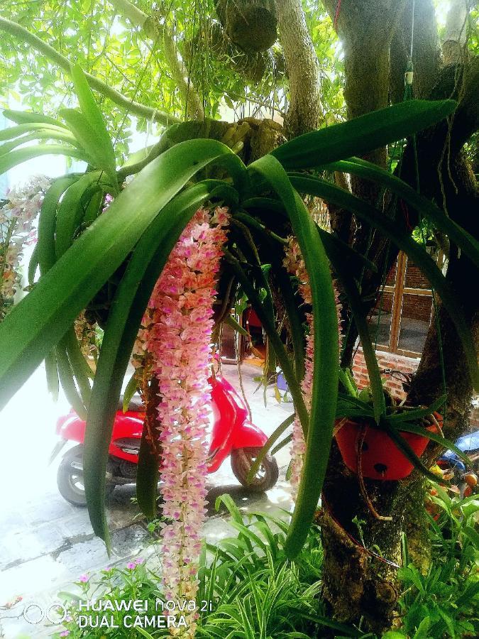 Tamcoc Mr. Cau Homestay Ninh Binh Luaran gambar